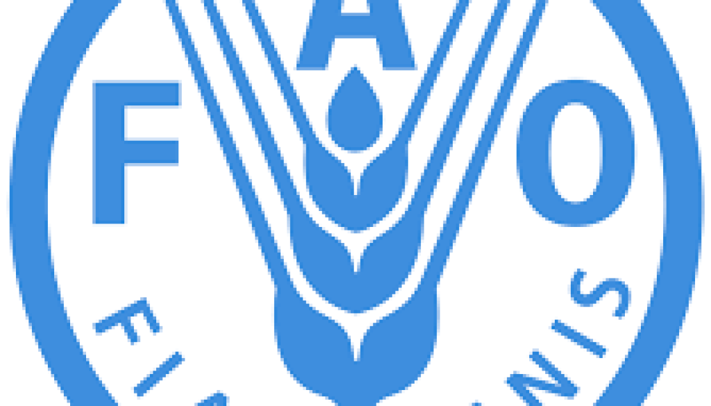 Assistant FAO Representative (Programme) Vacancy-Job Ref: JKZWFAO/2604/202381